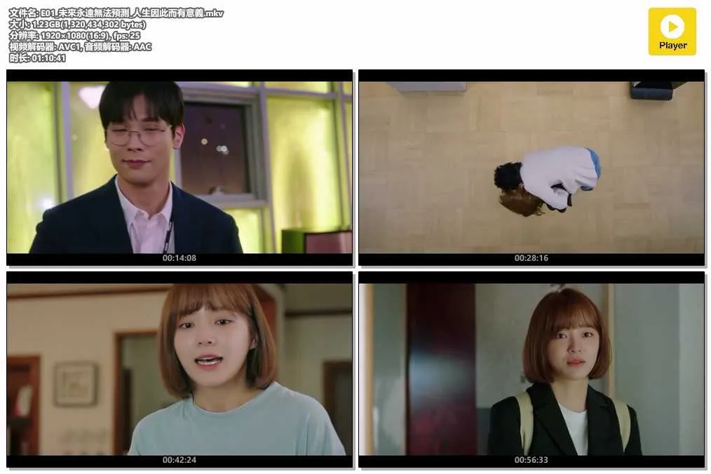 E01_未來永遠無法預測_人生因此而有意義.mkv.webp