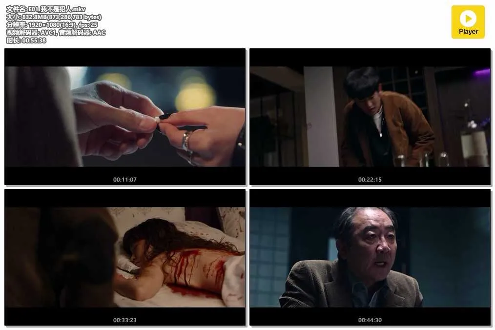 E01_我不是犯人.mkv.webp