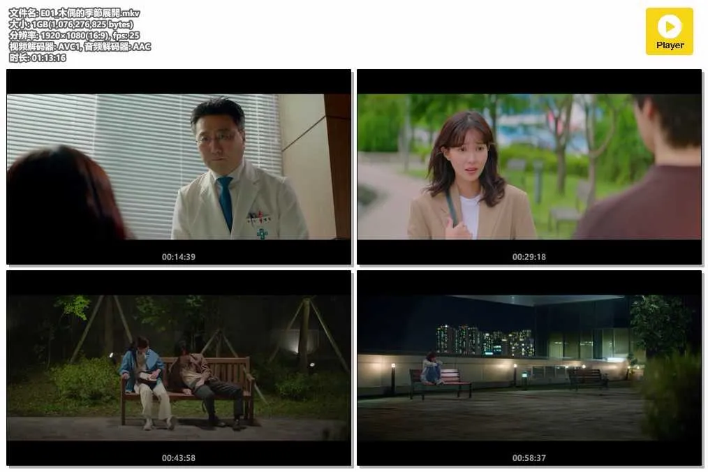 E01_木偶的季節展開.mkv.webp