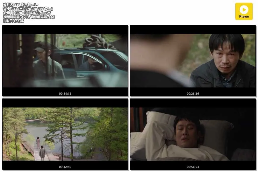 E16_對不起.mkv.webp