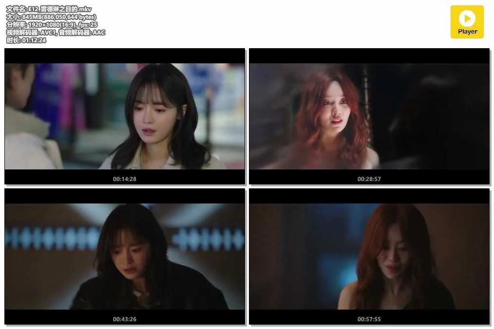 E12_雷德琳之目的.mkv.webp