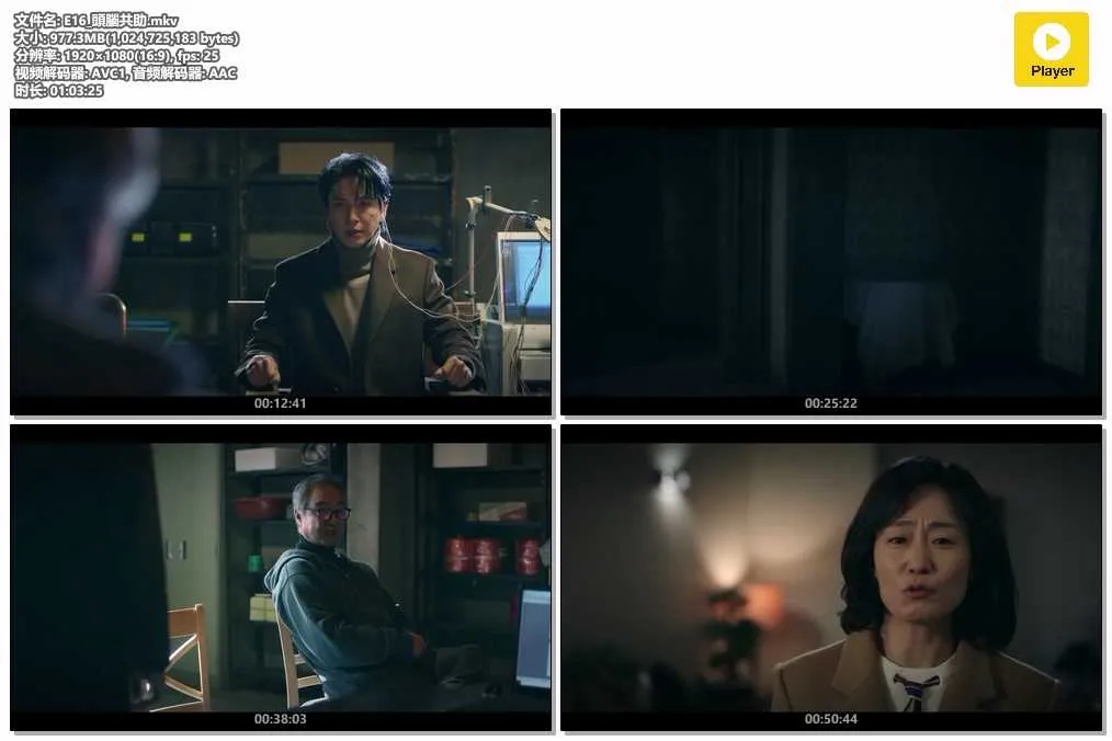 E16_頭腦共助.mkv.webp