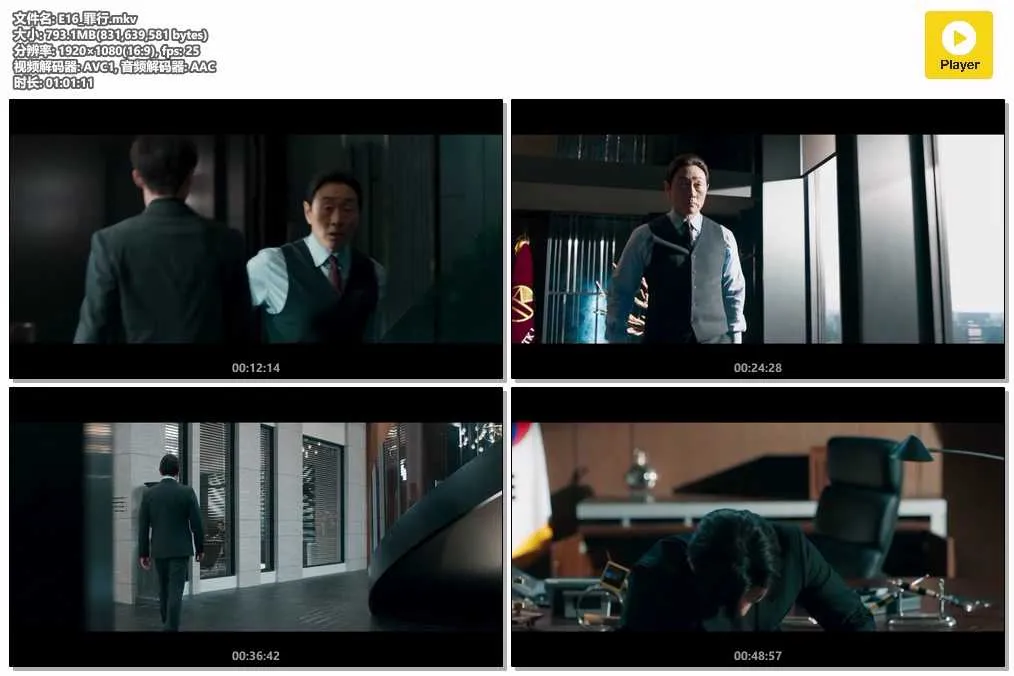 E16_罪行.mkv.webp