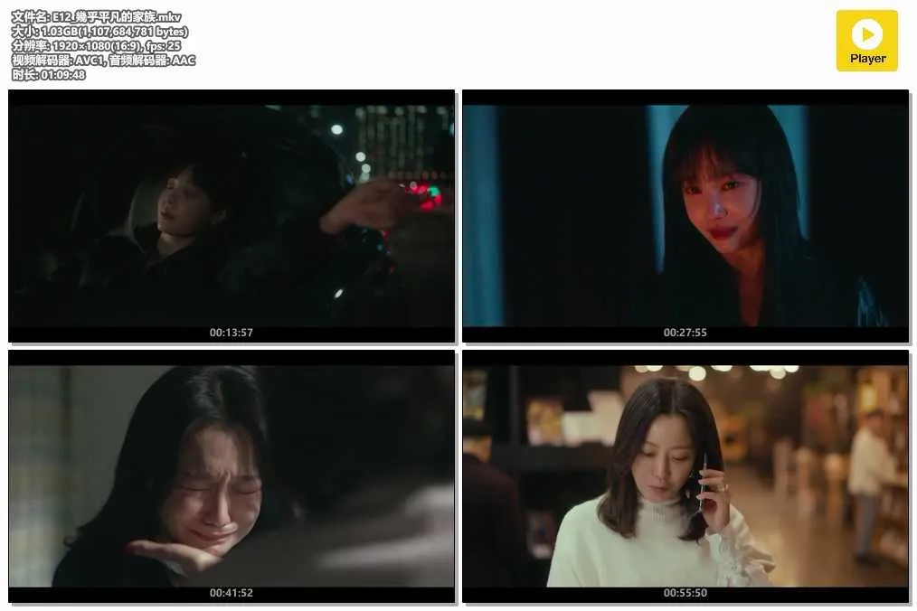 E12_幾乎平凡的家族.mkv.webp