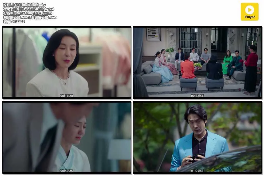 E16_特別的禮物.mkv.webp