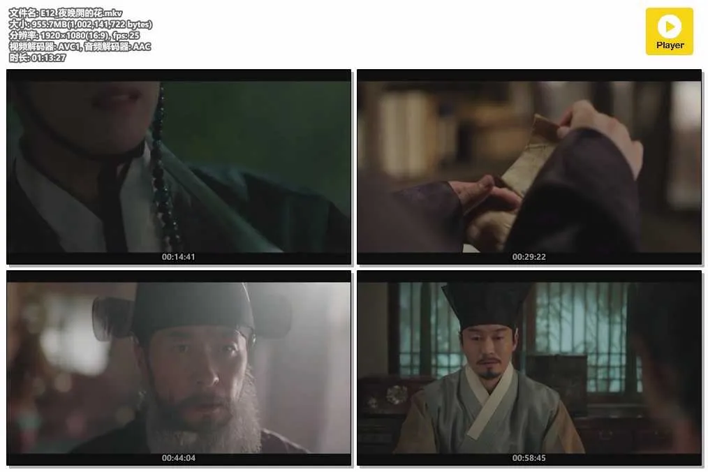 E12_夜晚開的花.mkv.webp