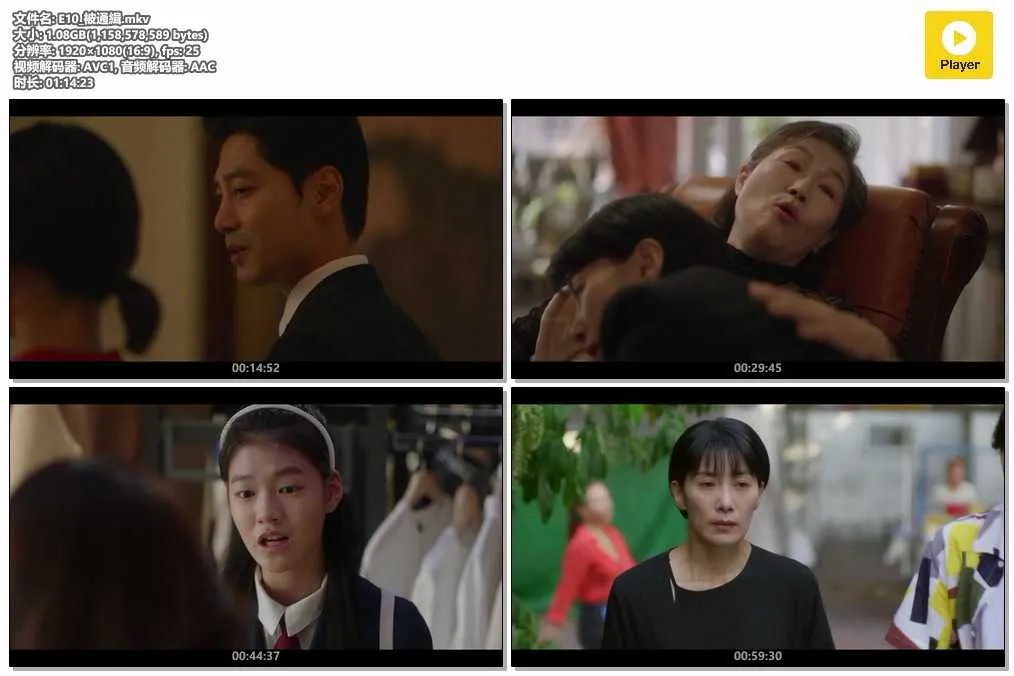 E10_被通緝.mkv.webp