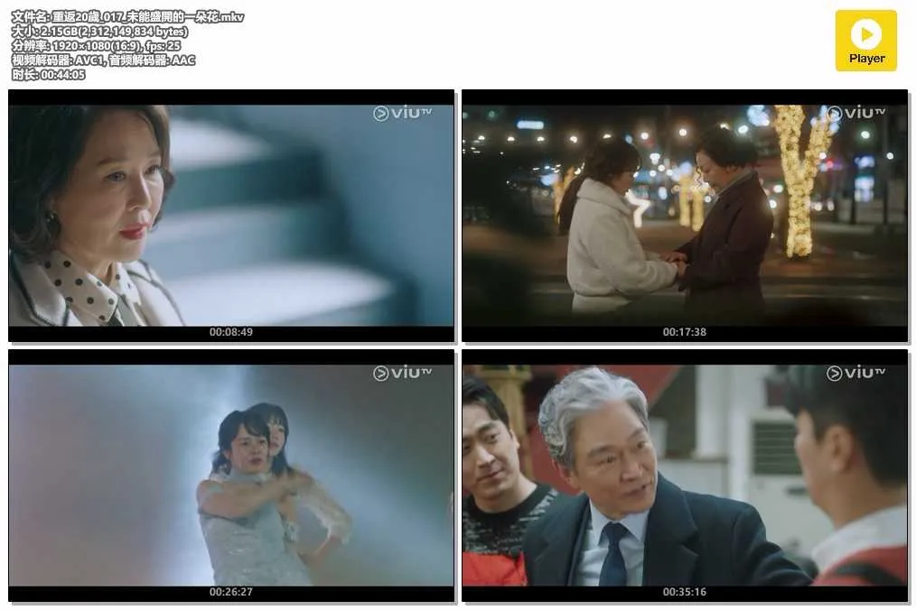 重返20歲_017_未能盛開的一朵花.mkv.webp