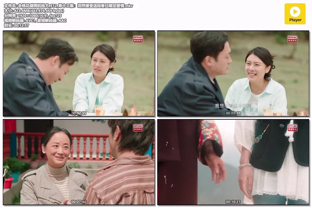去桃花盛開的地方_E12_第十二集：坦然接受這段春日限定愛情.mkv.webp