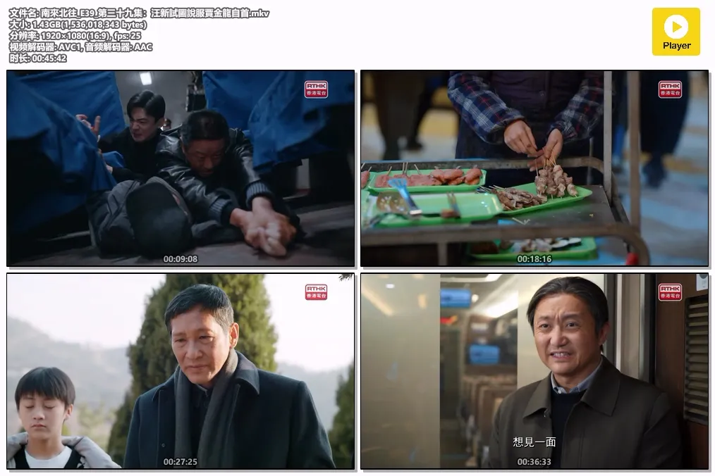 南來北往_E39_第三十九集：汪新試圖說服賈金龍自首.mkv.webp
