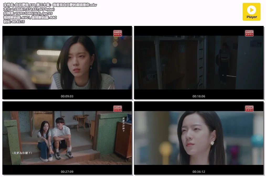 白日夢我_E30_第三十集：我看見白日夢的盡頭是你.mkv.webp