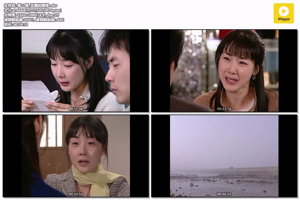 第22集_天國的階梯.mkv.webp