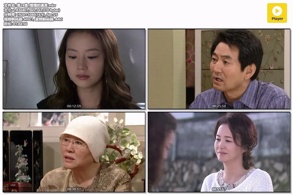第28集_燦爛的遺產.mkv.webp