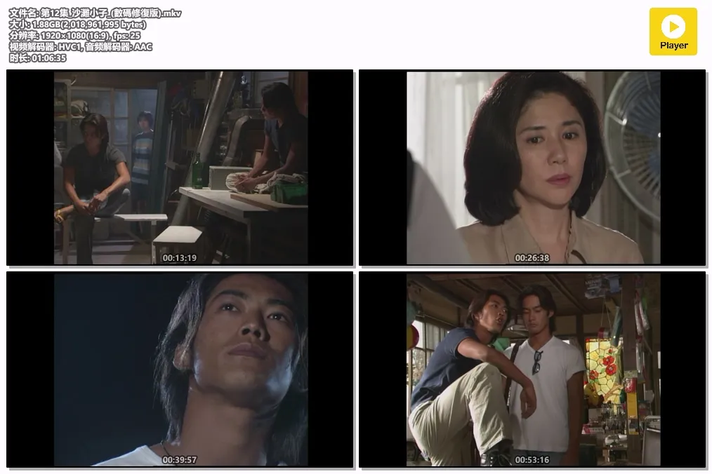 第12集_沙灘小子_(數碼修復版).mkv.webp