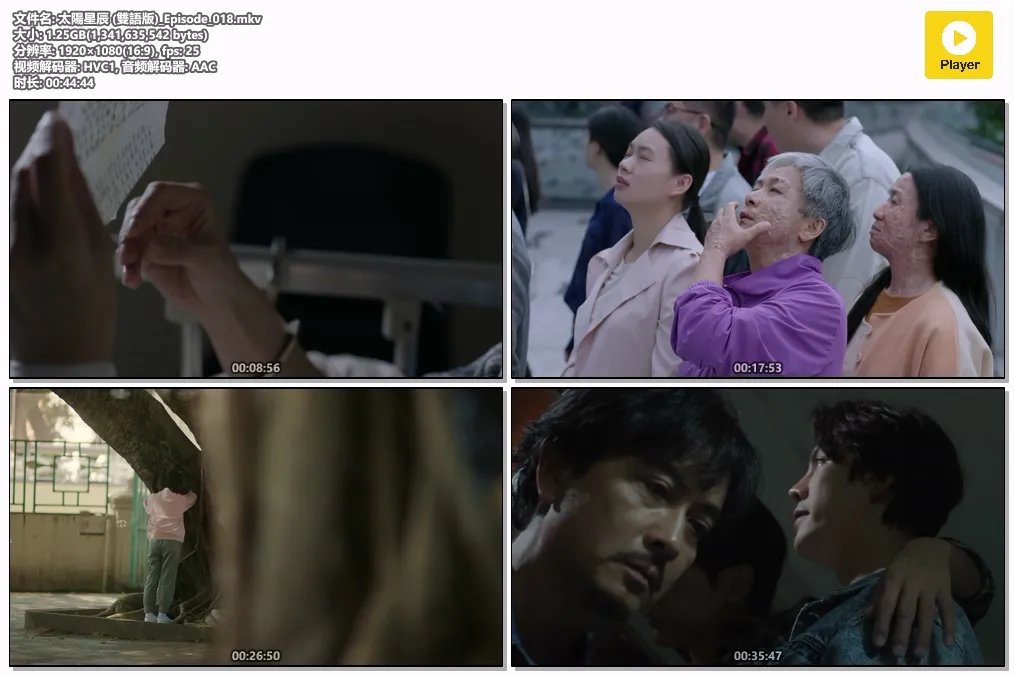太陽星辰 (雙語版)_Episode_018.mkv.webp