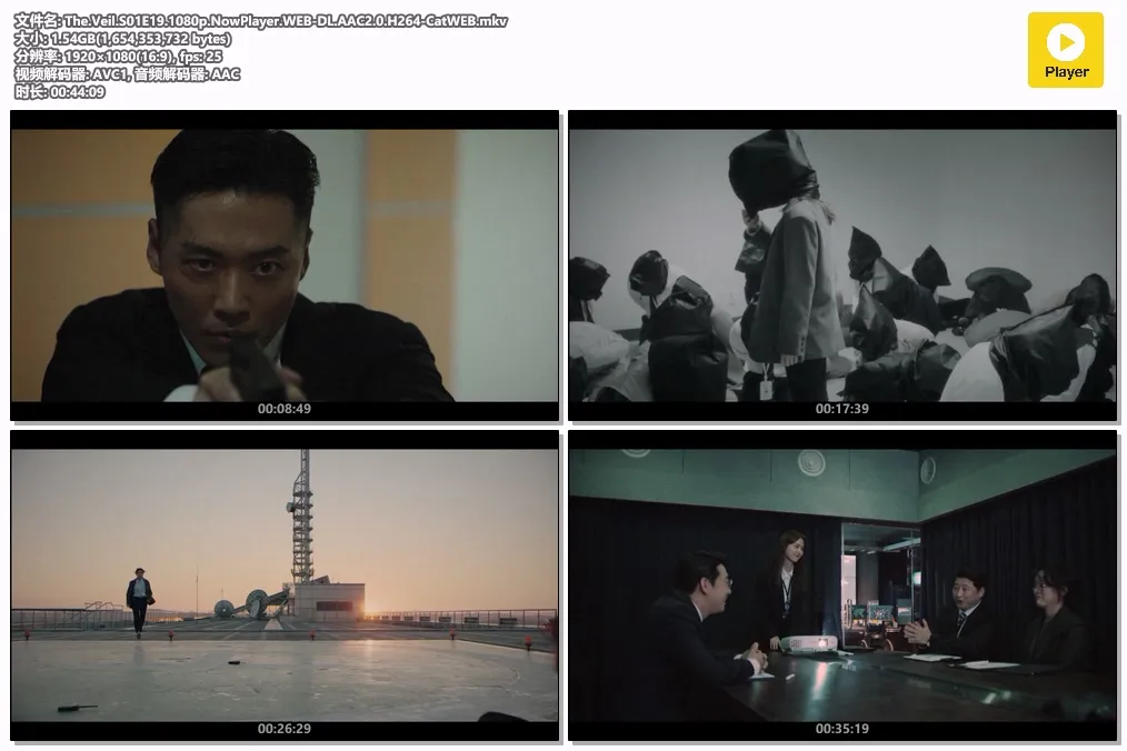 The.Veil.S01E19.1080p.NowPlayer.WEB-DL.AAC2.0.H264-CatWEB.mkv.webp