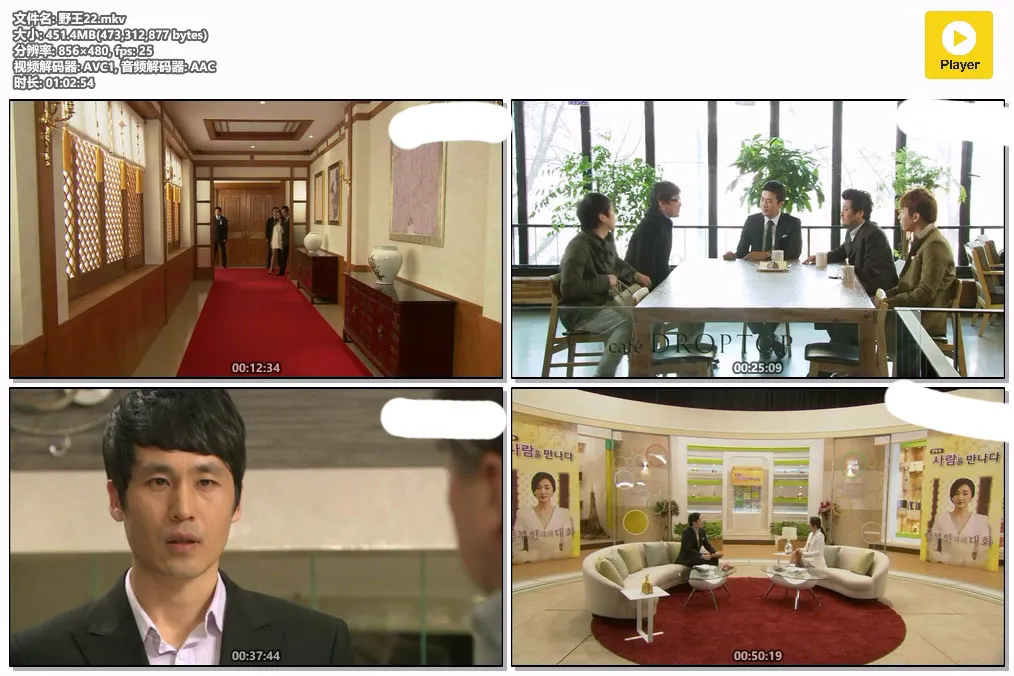野王22.mkv.webp