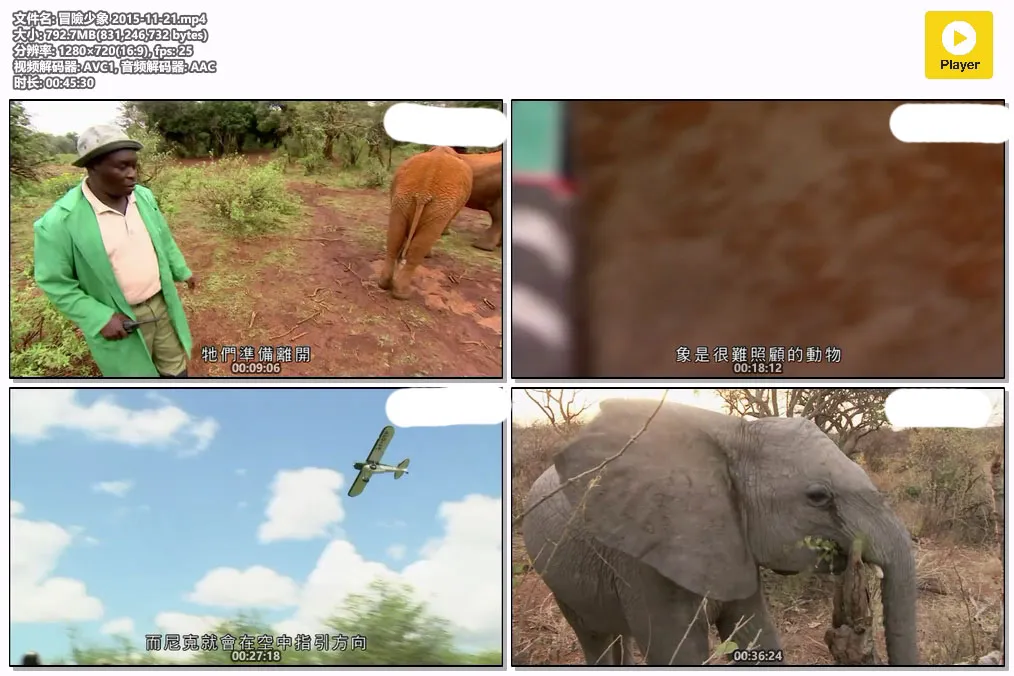 冒險少象 2015-11-21.mp4.webp