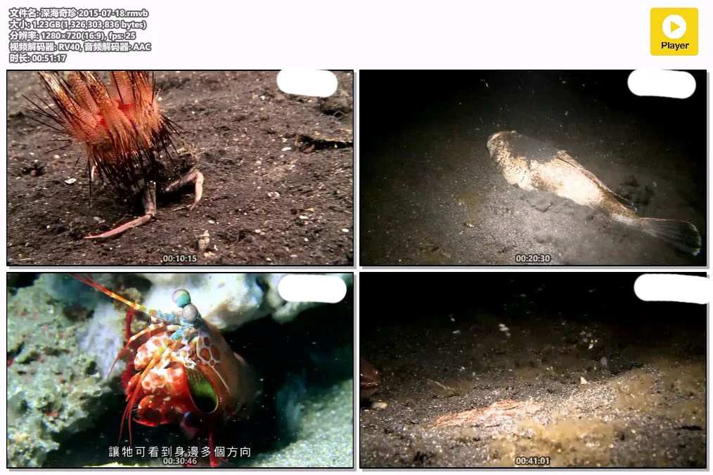 深海奇珍 2015-07-18.rmvb.webp