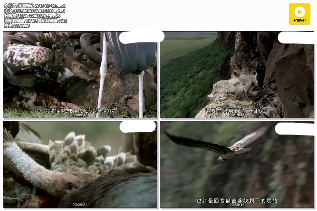 禿鷹雄心 2015-09-19.rmvb.webp