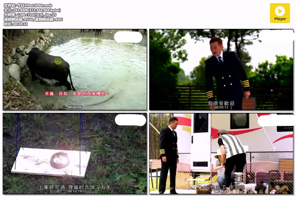 今日VIPet EP04.rmvb.webp