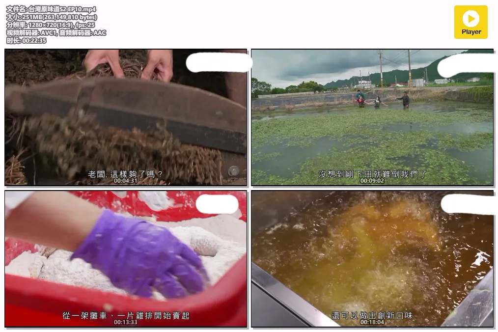 台灣原味道S2 EP10.mp4.webp