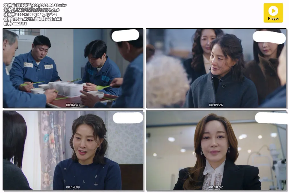 熨斗家族_104_2026-04-15.mkv.webp