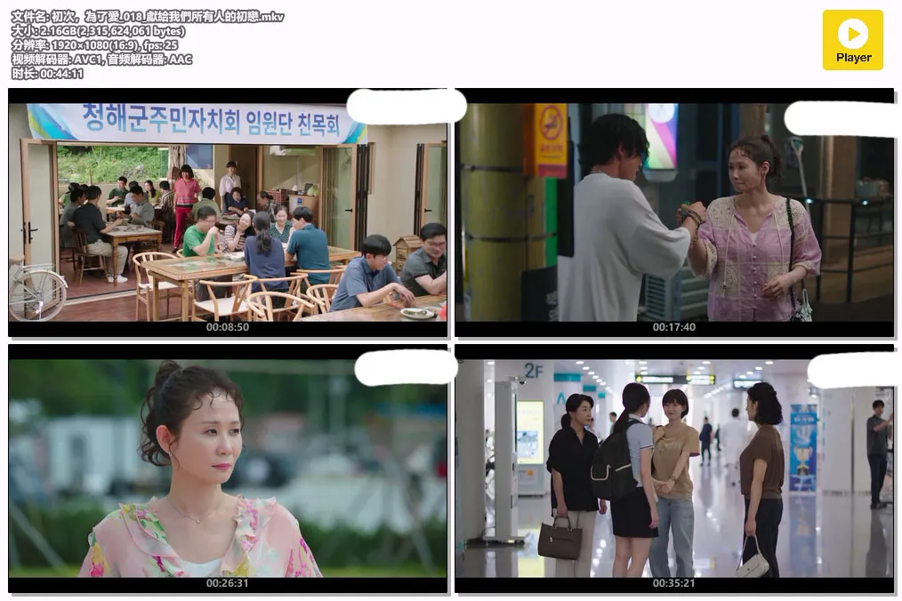 初次，為了愛_018_獻給我們所有人的初戀.mkv.webp