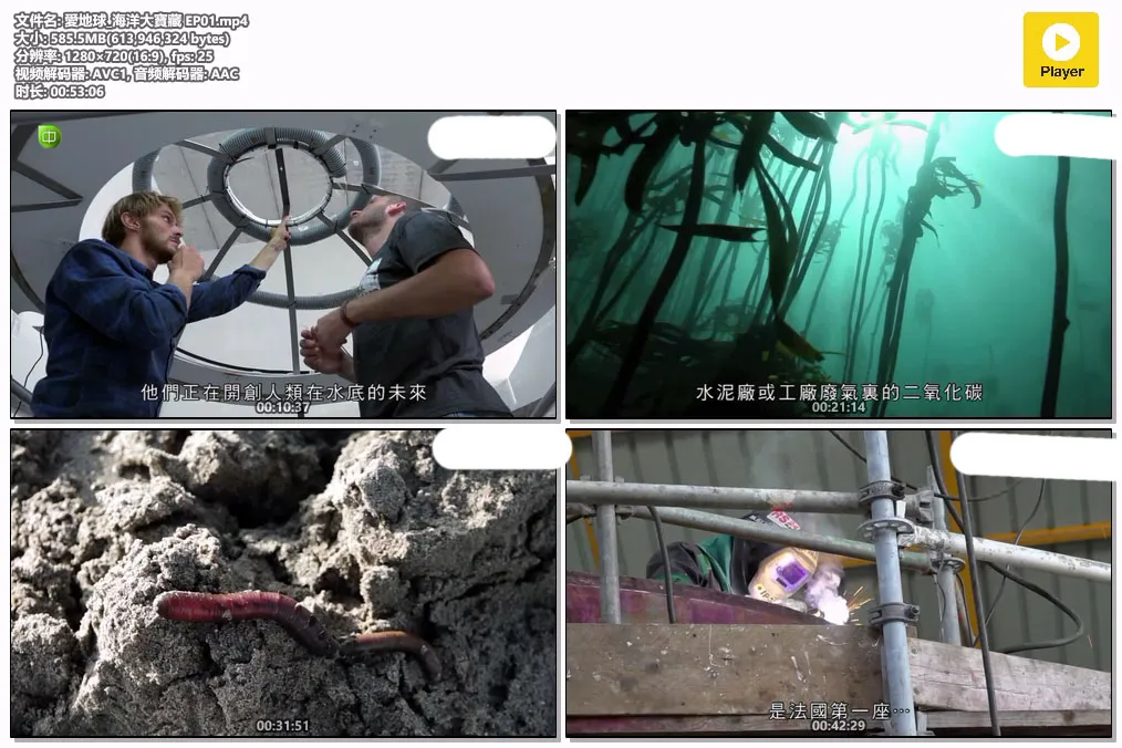 愛地球_海洋大寶藏 EP01.mp4.webp