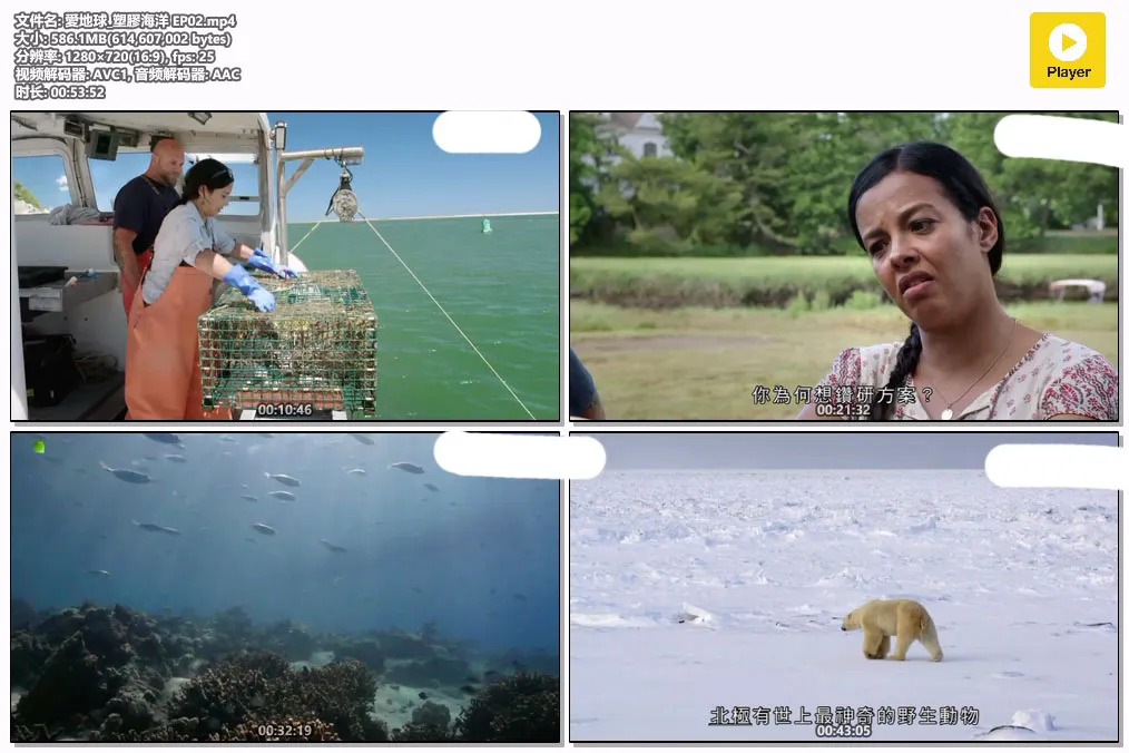 愛地球_塑膠海洋 EP02.mp4.webp