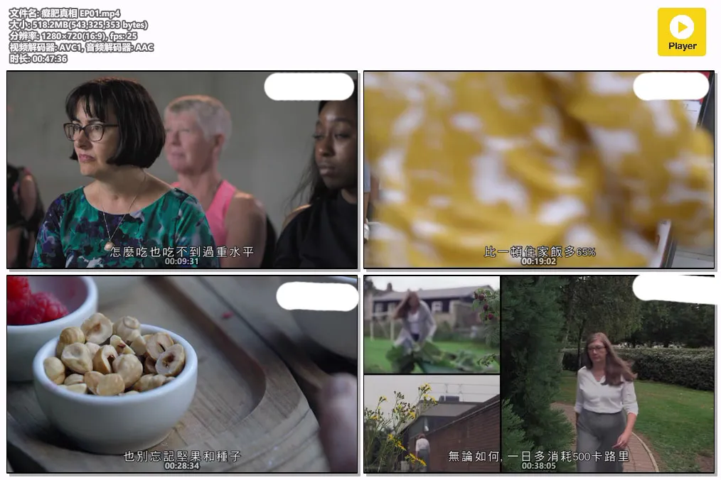 癡肥真相 EP01.mp4.webp