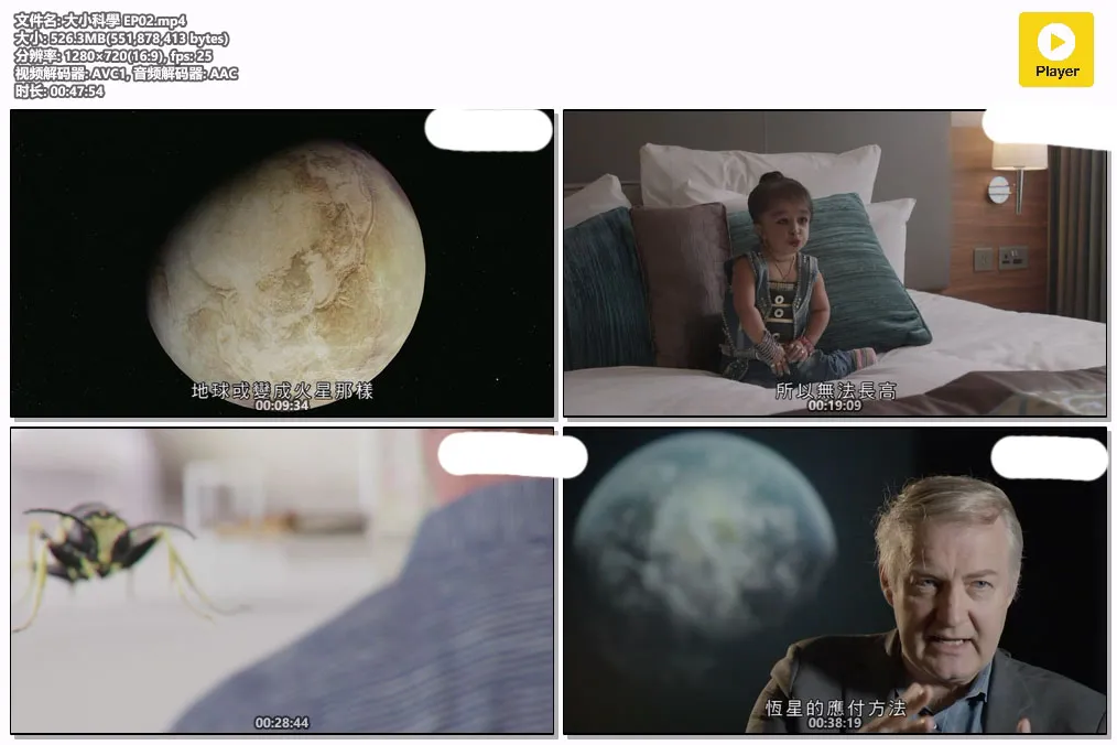 大小科學 EP02.mp4.webp