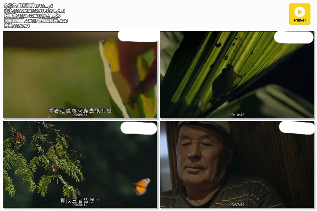 非凡地球 EP10.mp4.webp