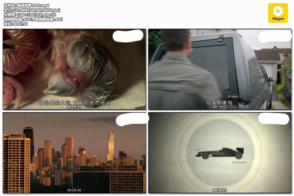 極速游隼 EP01.mp4.webp