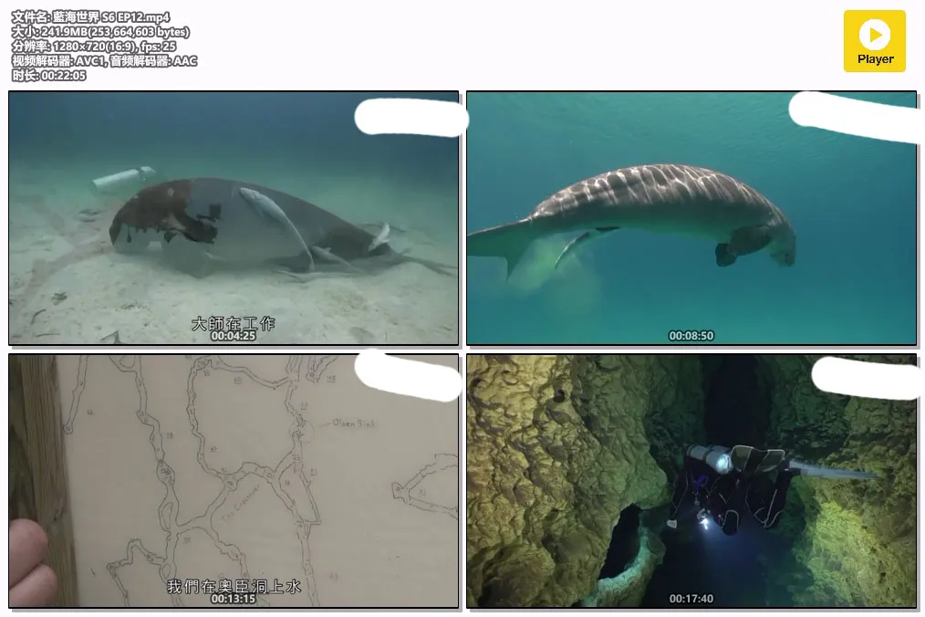 藍海世界 S6 EP12.mp4.webp