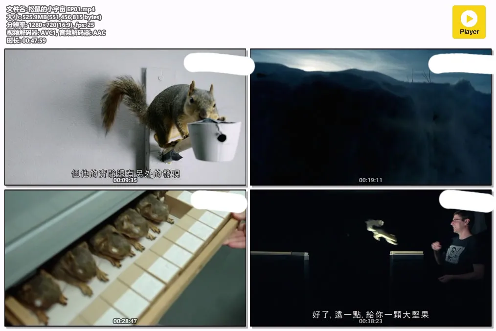 松鼠的小宇宙 EP01.mp4.webp