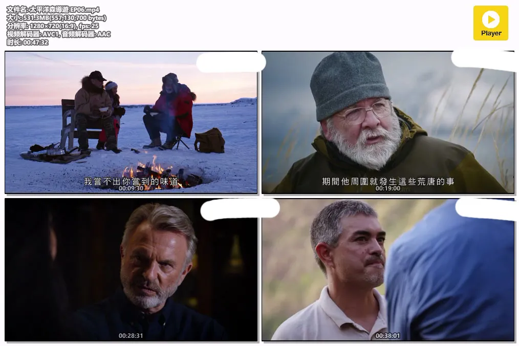太平洋森導遊 EP06.mp4.webp