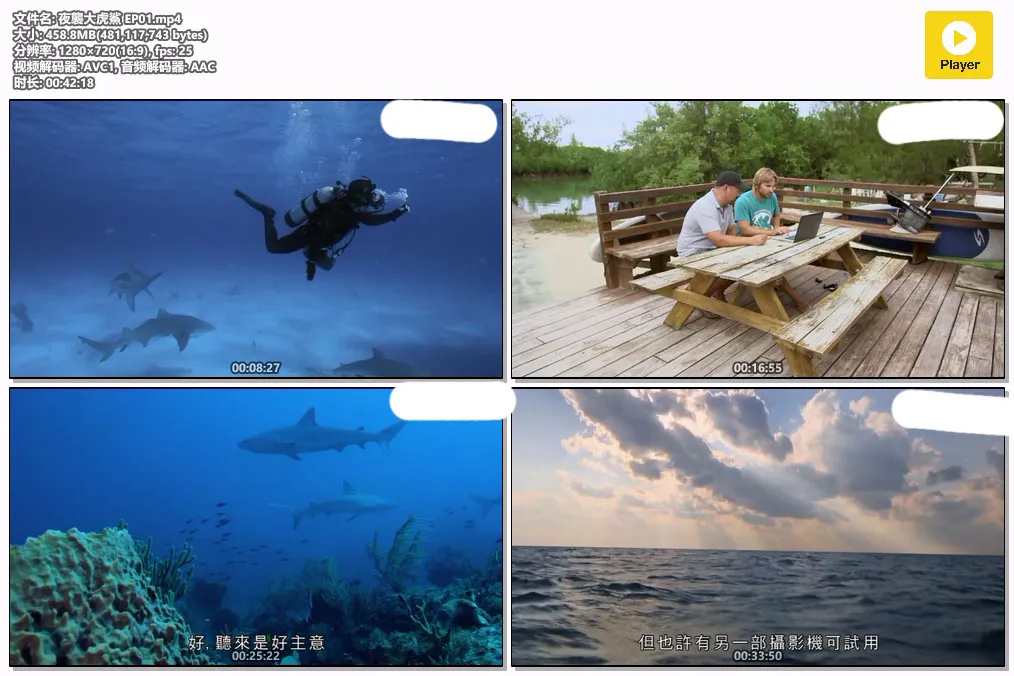 夜襲大虎鯊 EP01.mp4.webp