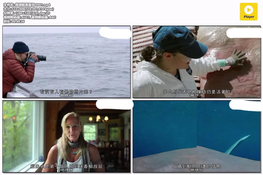 座頭鯨真面目 EP01.mp4.webp
