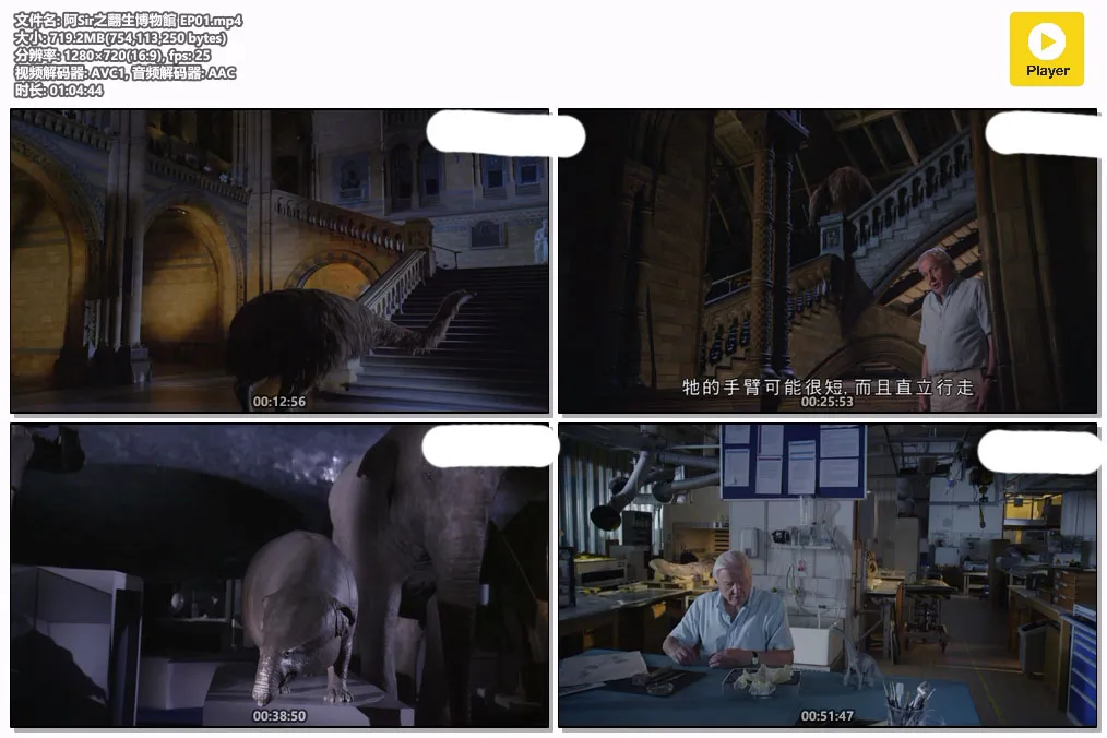 阿Sir之翻生博物館 EP01.mp4.webp