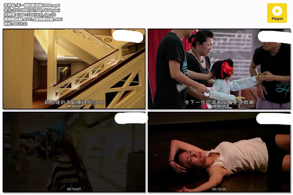 不一樣的新加坡 EP08.mp4.webp