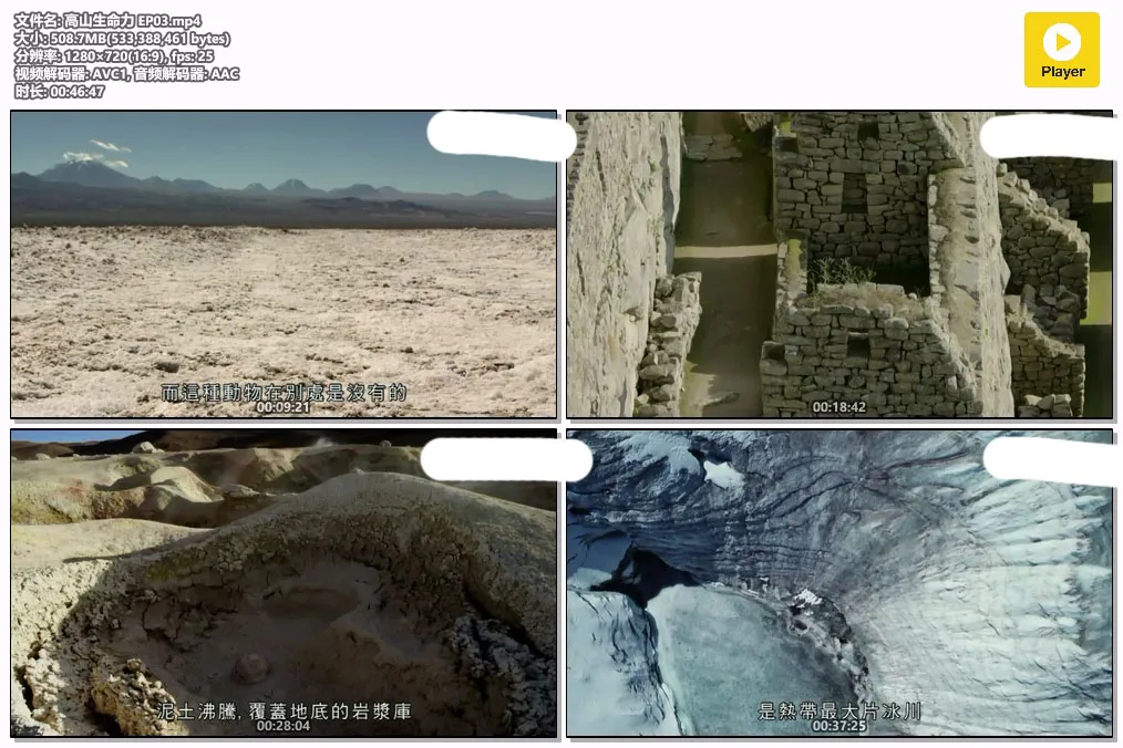 高山生命力 EP03.mp4.webp