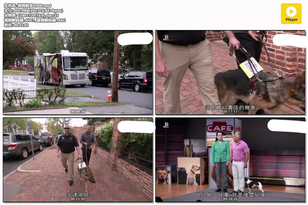 狗狗教官 EP08.mp4.webp