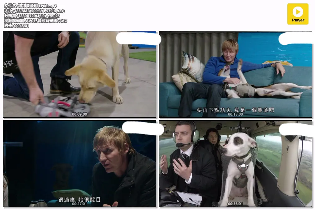 狗狗夢飛翔 EP06.mp4.webp