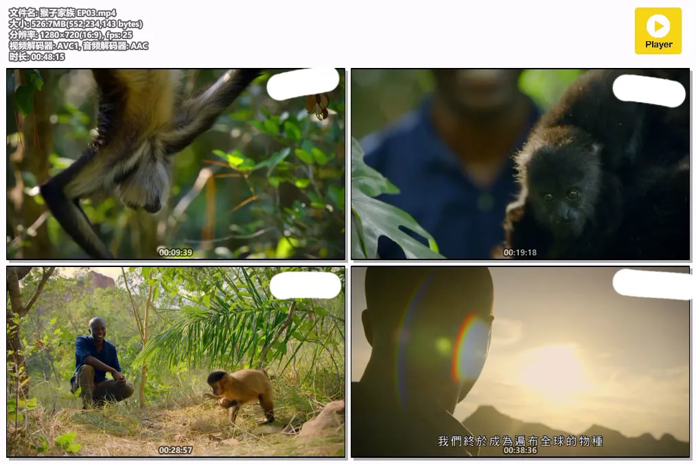 猴子家族 EP03.mp4.webp