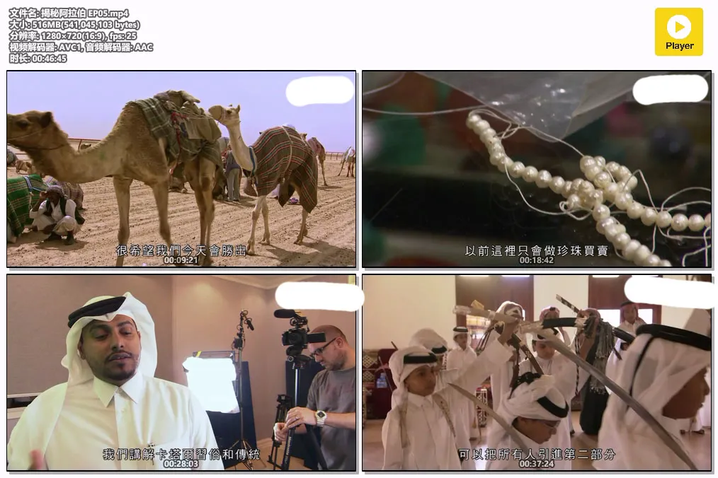揭秘阿拉伯 EP05.mp4.webp