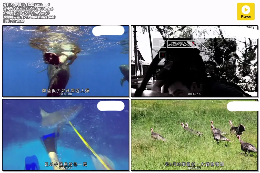 絕境求生指南 EP12.mp4.webp