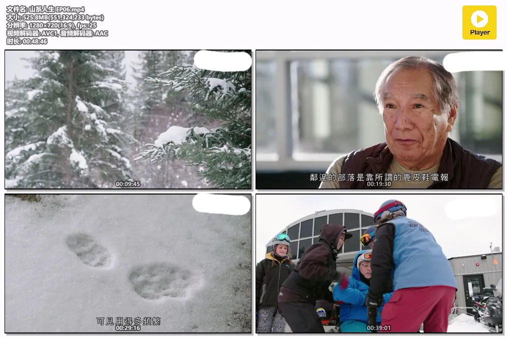 山系人生 EP06.mp4.webp