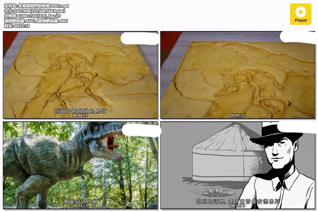 生物與牠們的秘密 EP07.mp4.webp