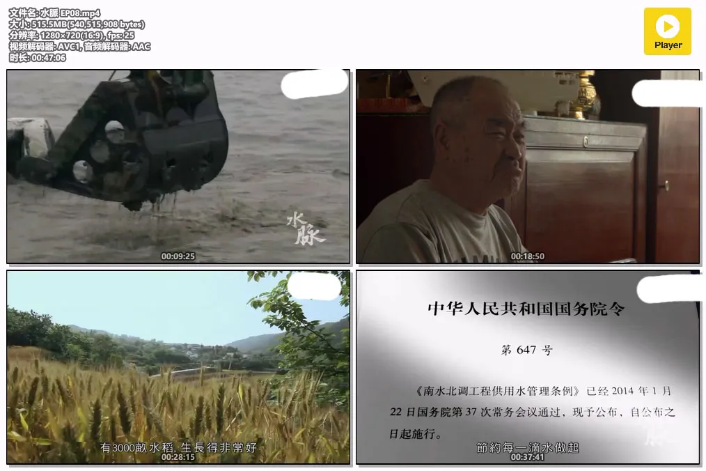 水脈 EP08.mp4.webp